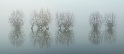 BUITEN BEELD Foto: 159719