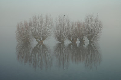 BUITEN BEELD Foto: 159720
