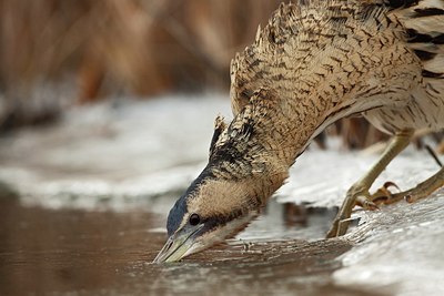 BUITEN BEELD Foto: 159772