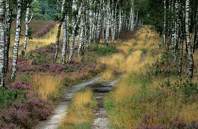BUITEN BEELD Foto: 159823