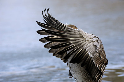 BUITEN BEELD Foto: 159830
