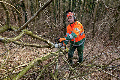 BUITEN BEELD Foto: 159850