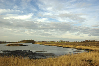 BUITEN BEELD Foto: 159853