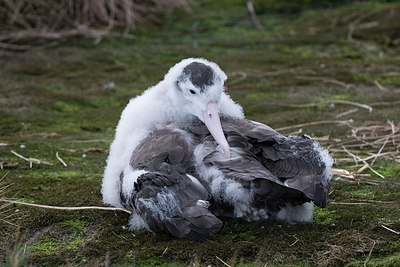 BUITEN BEELD Foto: 159869