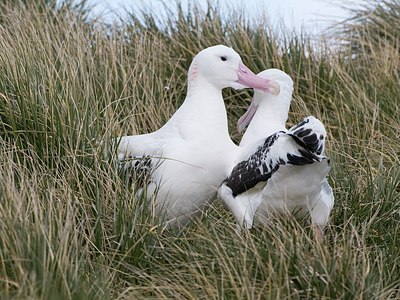 BUITEN BEELD Foto: 159874