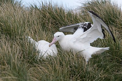 BUITEN BEELD Foto: 159879