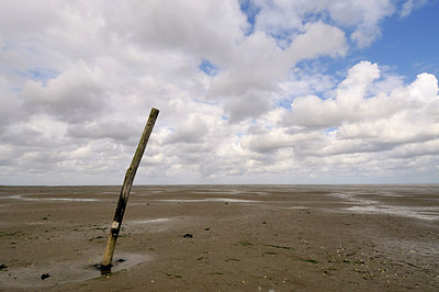 BUITEN BEELD Foto: 159889