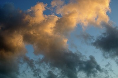 BUITEN BEELD Foto: 159933