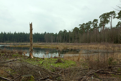 BUITEN BEELD Foto: 159969