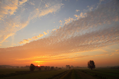 BUITEN BEELD Foto: 160006