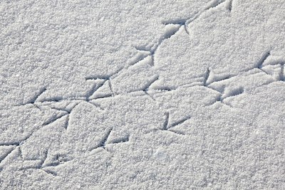 BUITEN BEELD Foto: 160066