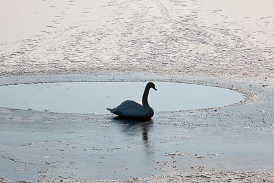 BUITEN BEELD Foto: 160071