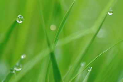 BUITEN BEELD Foto: 160074