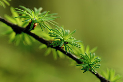 BUITEN BEELD Foto: 160086