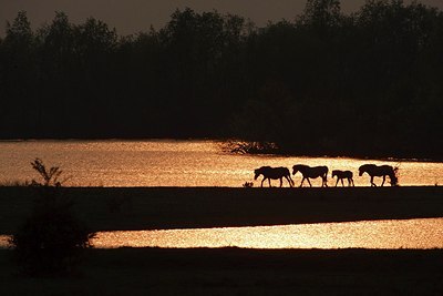 BUITEN BEELD Foto: 160101