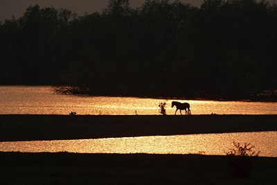 BUITEN BEELD Foto: 160102