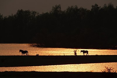BUITEN BEELD Foto: 160103