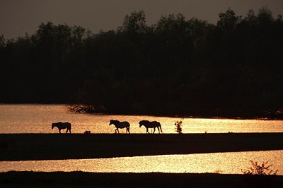 BUITEN BEELD Foto: 160104