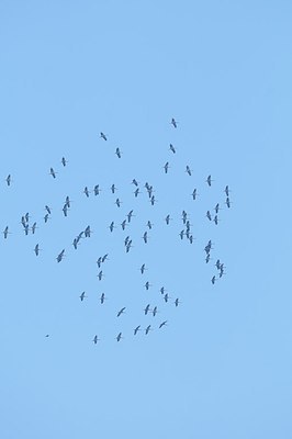 BUITEN BEELD Foto: 160122