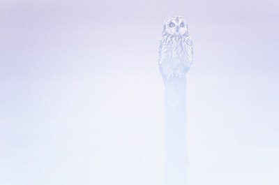 BUITEN BEELD Foto: 160141