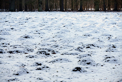 BUITEN BEELD Foto: 160269