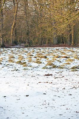 BUITEN BEELD Foto: 160271