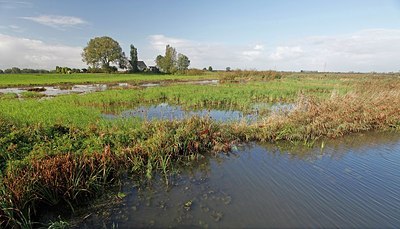 BUITEN BEELD Foto: 160273