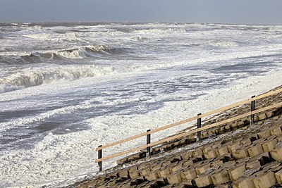 BUITEN BEELD Foto: 160301