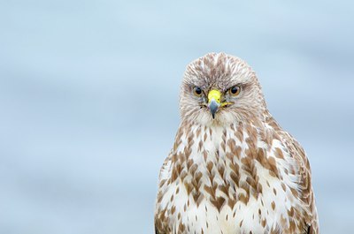BUITEN BEELD Foto: 160311