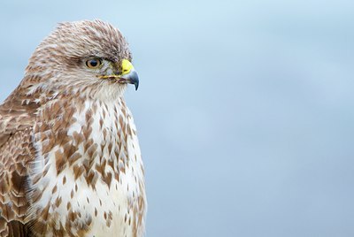 BUITEN BEELD Foto: 160328