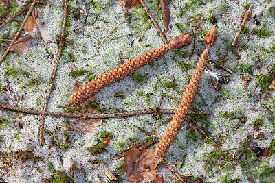 BUITEN BEELD Foto: 160329