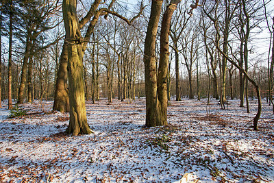 BUITEN BEELD Foto: 160345