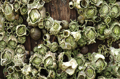 BUITEN BEELD Foto: 160429