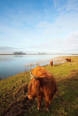 BUITEN BEELD Foto: 160443