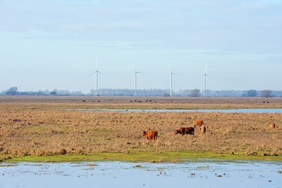 BUITEN BEELD Foto: 160450