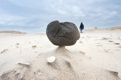BUITEN BEELD Foto: 160453