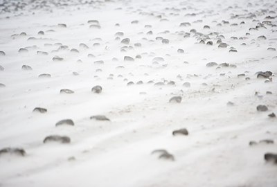 BUITEN BEELD Foto: 160454