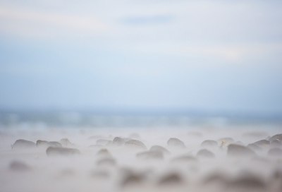 BUITEN BEELD Foto: 160455