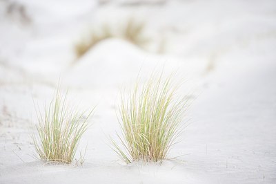 BUITEN BEELD Foto: 160460