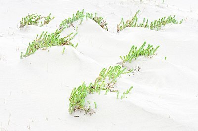 BUITEN BEELD Foto: 160463
