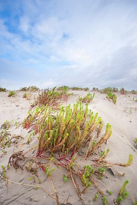 BUITEN BEELD Foto: 160465