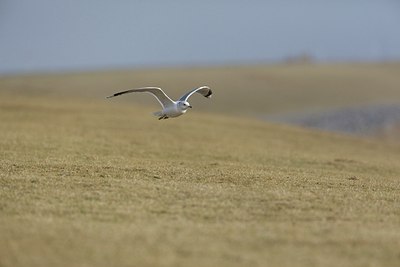 BUITEN BEELD Foto: 160503
