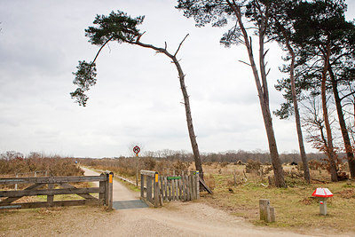 BUITEN BEELD Foto: 160569