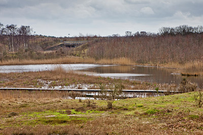 BUITEN BEELD Foto: 160570