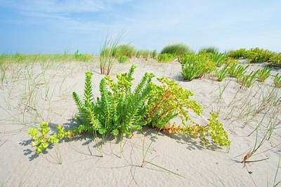 BUITEN BEELD Foto: 160591