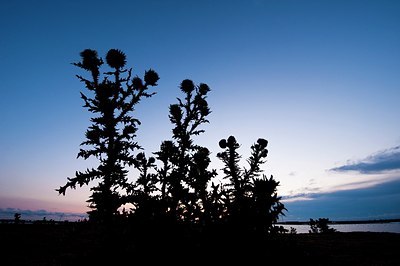 BUITEN BEELD Foto: 160593