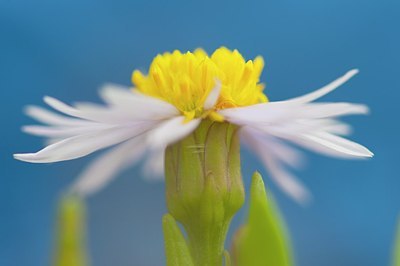 BUITEN BEELD Foto: 160600