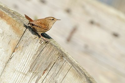 BUITEN BEELD Foto: 160653