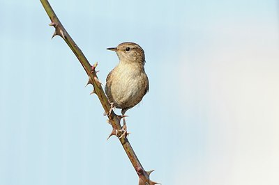 BUITEN BEELD Foto: 160655