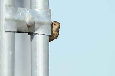 BUITEN BEELD Foto: 160660